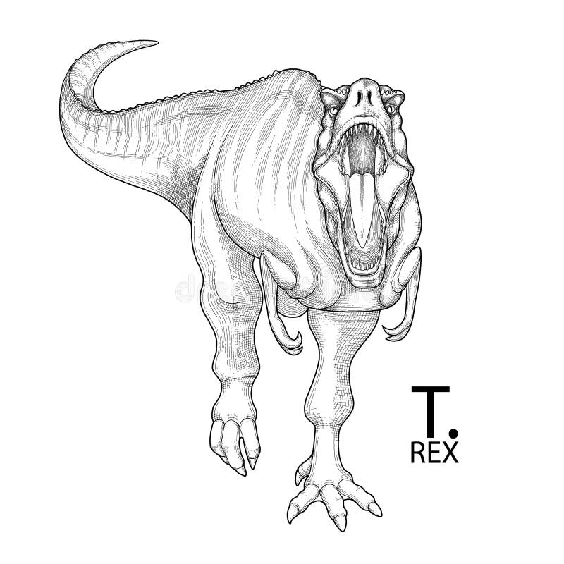Realistic graphic dinosaur stock vector illustration of predator