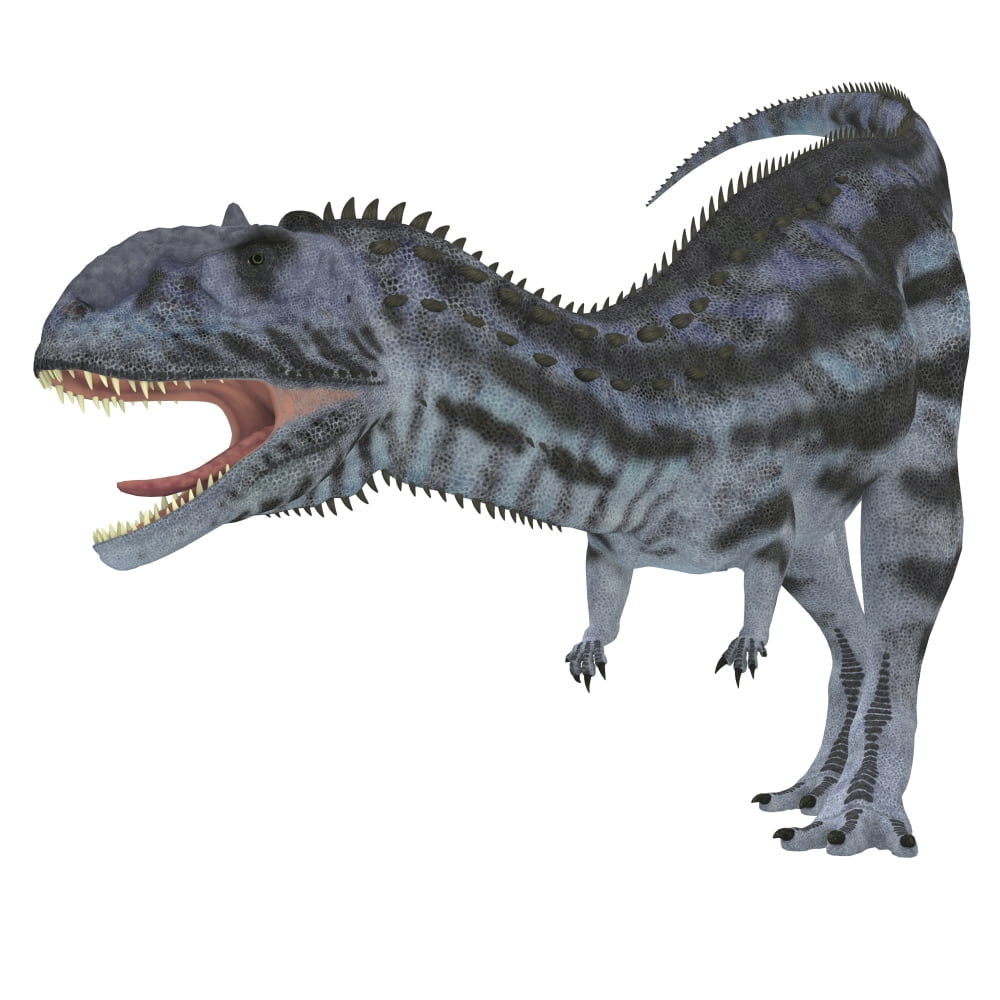 Majungasaurus dinosaur majungasaurus was a carnivorous theropod dinosaur that lived in madagascar in the cretaceous period poster print x