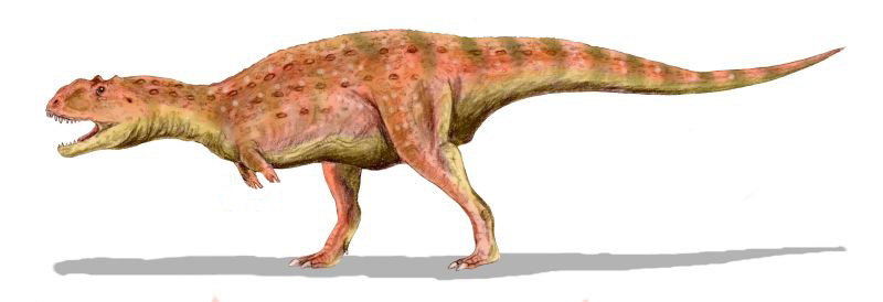 Filemajungasaurus bwjpg