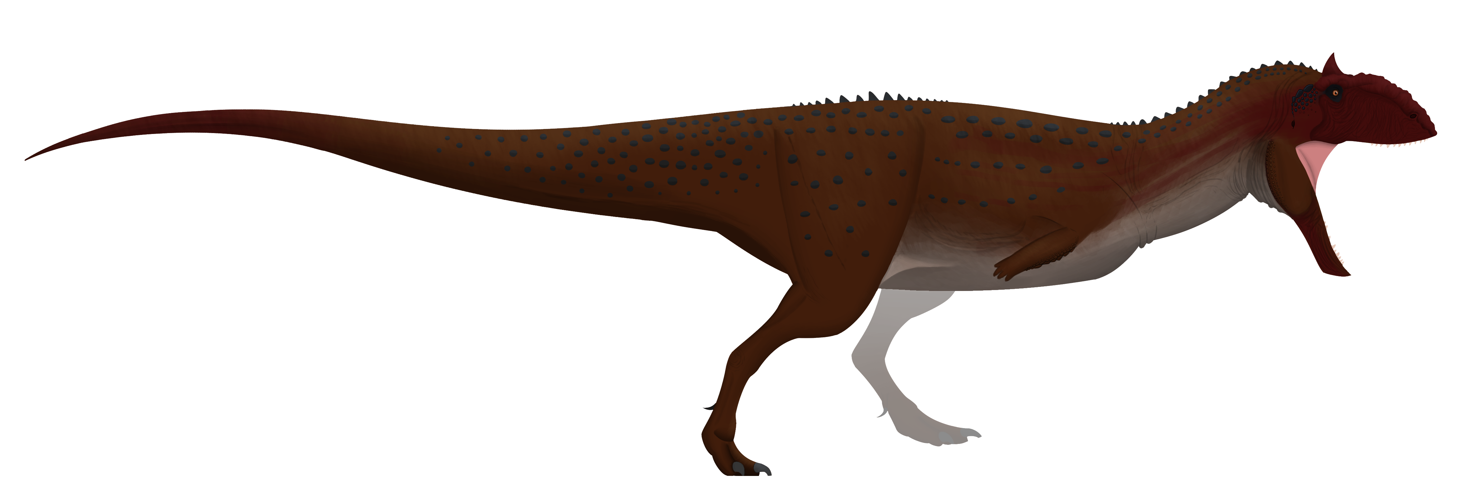 Fileajungasaurus size refercepng
