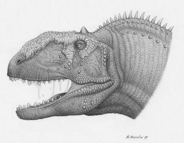 Extinct animal of the week january