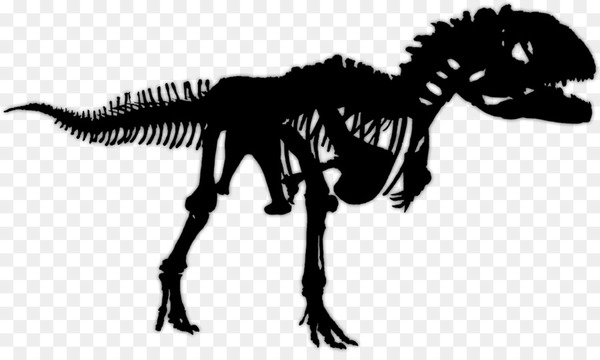 Free tyrannosaurus majungasaurus velociraptor saltasaurus spinosaurus