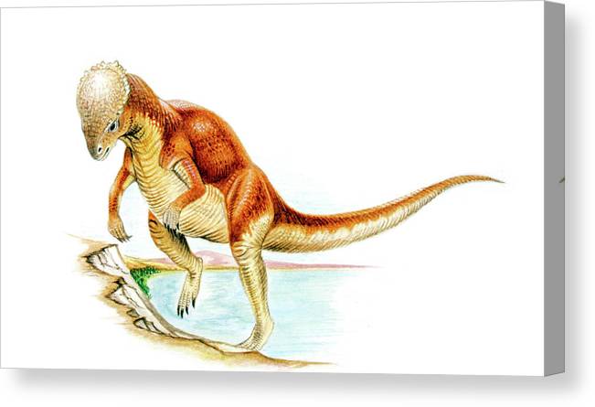 Majungasaurus dinosaur canvas print canvas art by deagostiniuig
