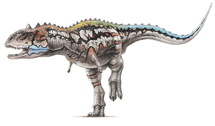 Majungasaurus