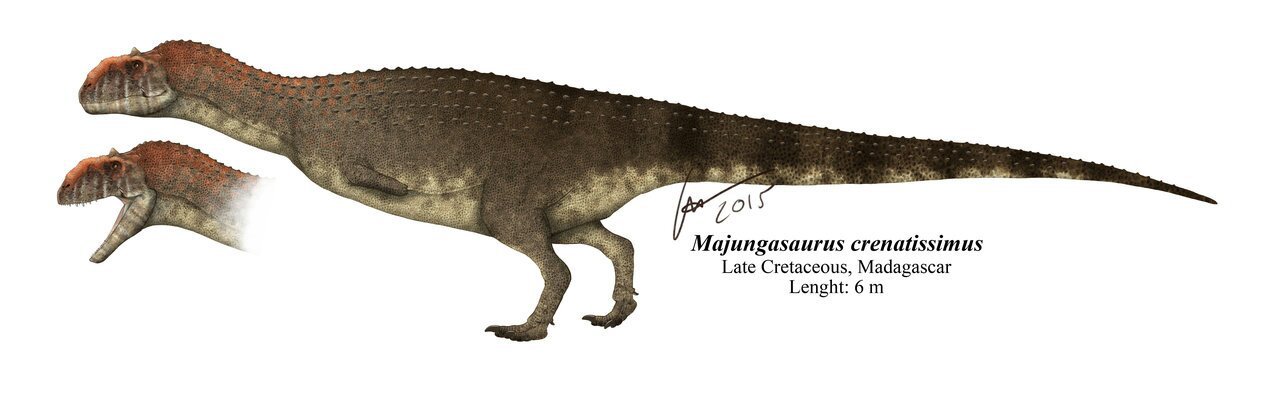 Majungasaurus dossier wiki ark survival evolved amino