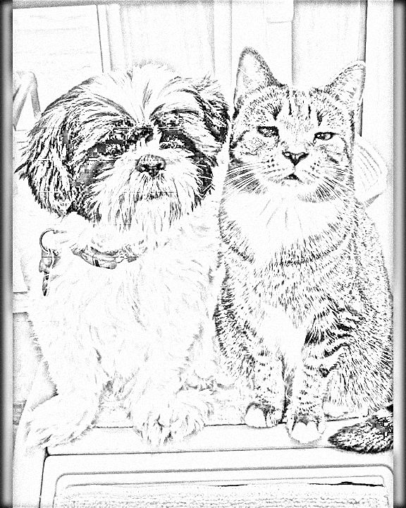 Converting photo to drawing for coloring book