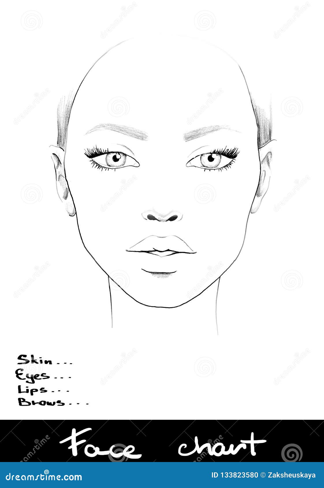Face chart makeup artist blank beautiful woman portrait face chart makeup artist blank template stock illustration