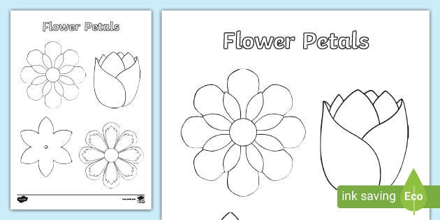 Flower petal template craft activity primary resources
