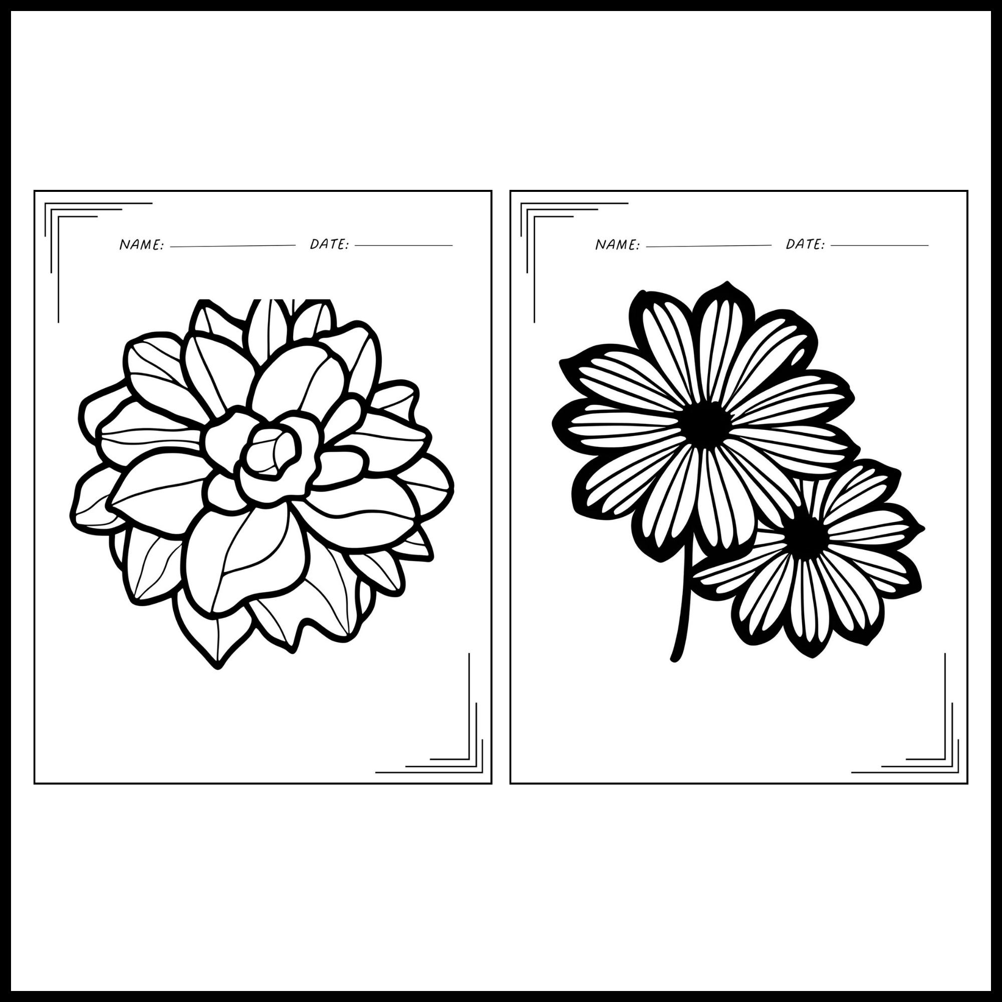 Flowers coloring pages pages of various flowers for kids made by teachers