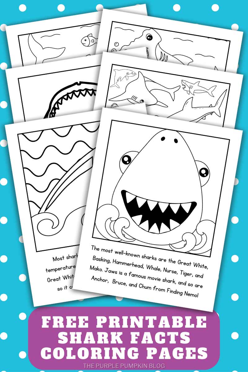 Free printable shark loring pages shark louring pages