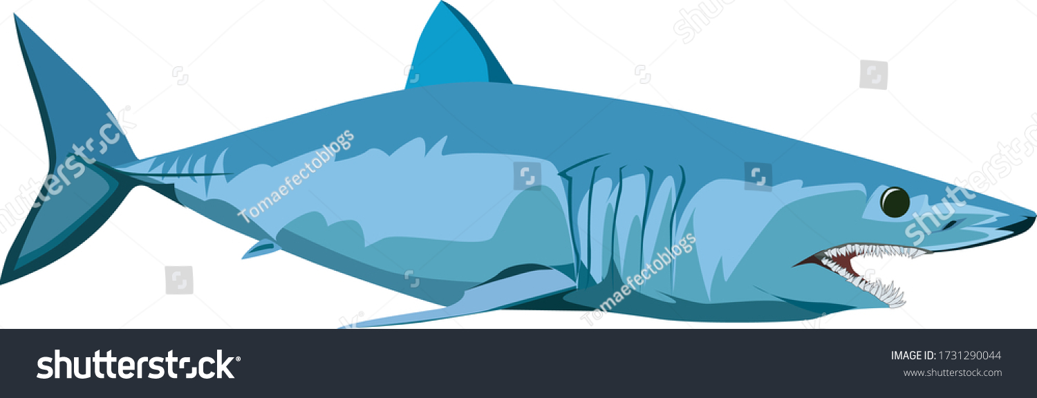 Mako shark over royalty