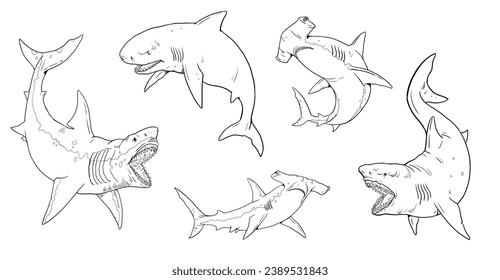 Mako shark over royalty