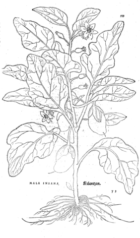 Mala insana coloring page free printable coloring pages