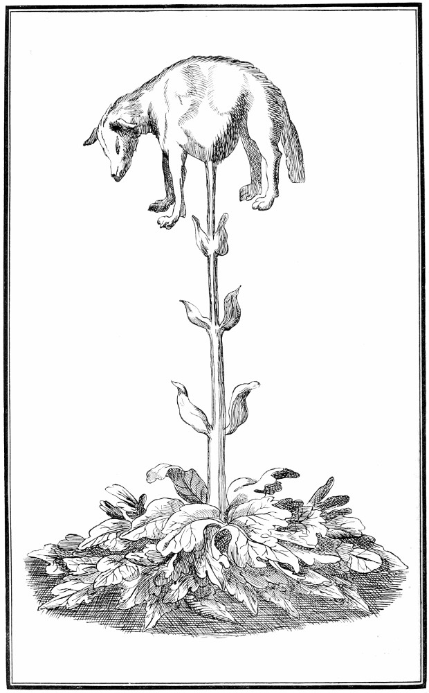 Plant lore legends and lyrics by richard folkardâa project ebook