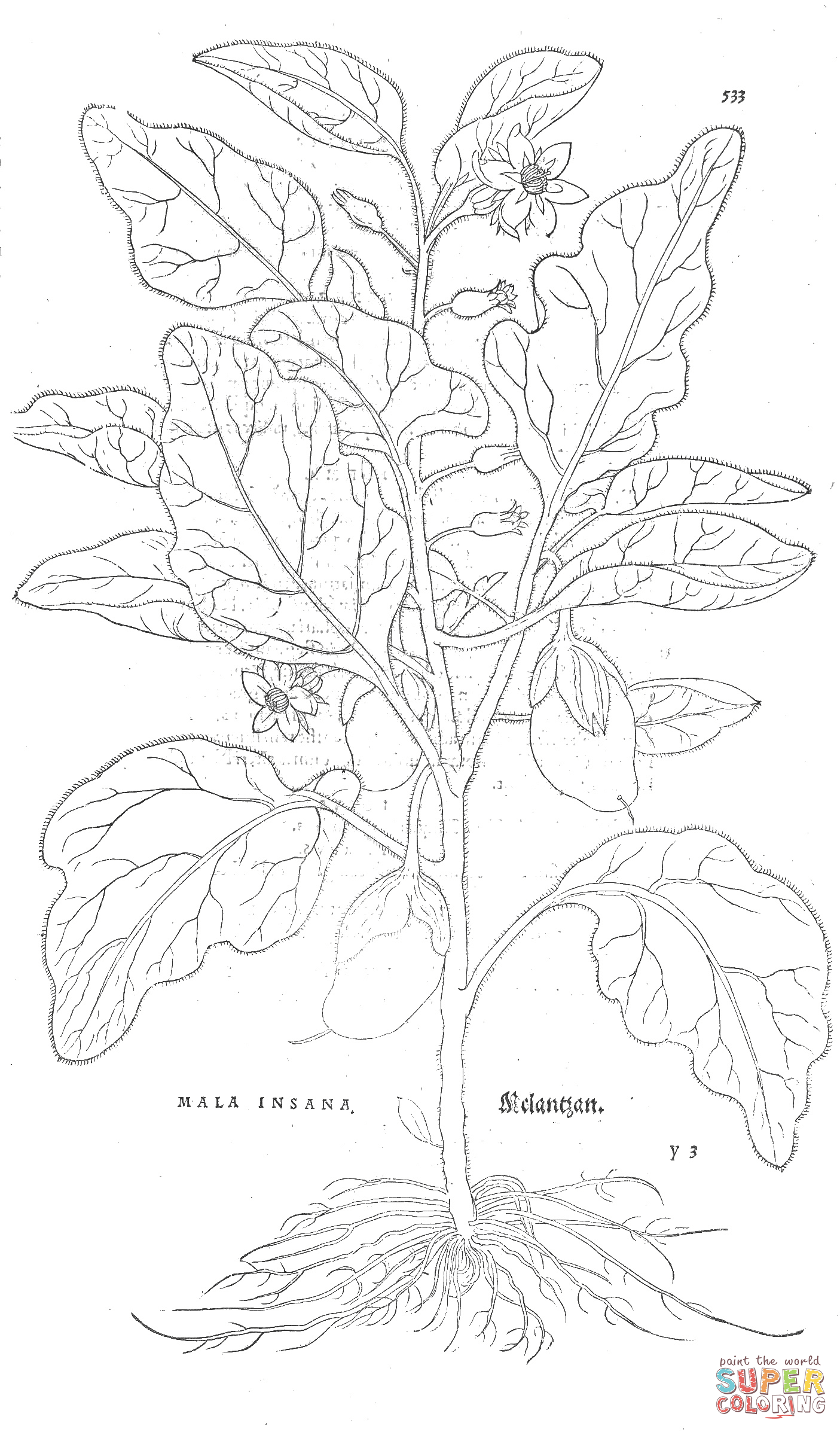 Mala insana coloring page free printable coloring pages