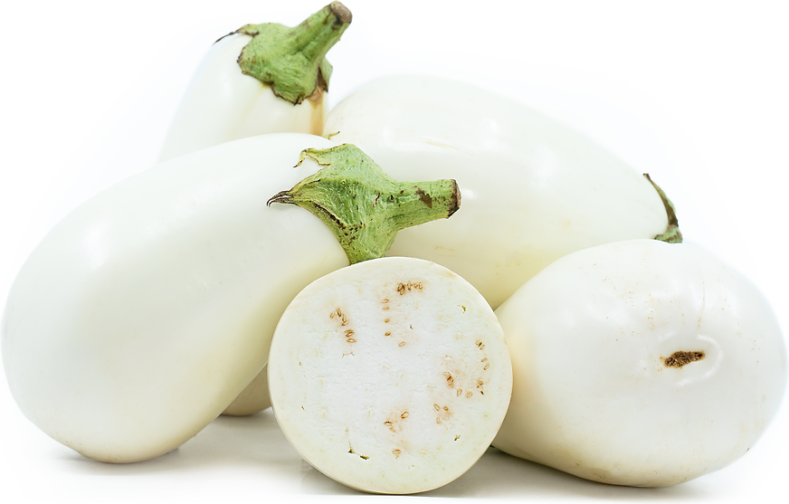 White eggplant information and facts