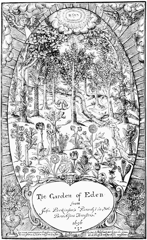 Plant lore legends and lyrics by richard folkardâa project ebook
