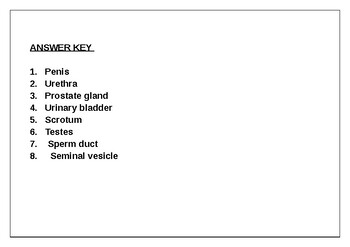 Science worksheets label parts of the male reproductive system tpt