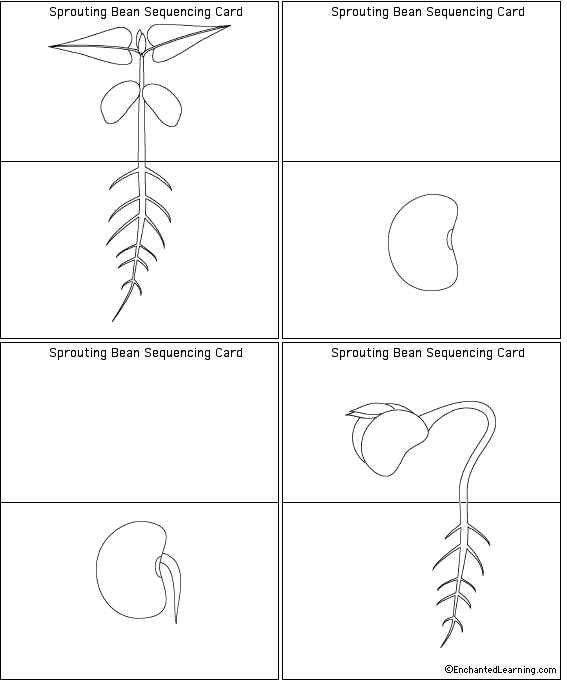 Plant printouts