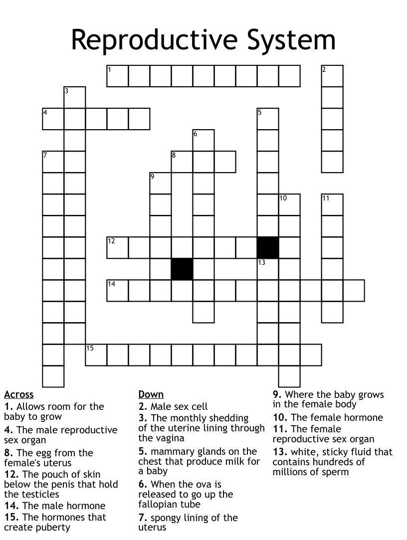 Male and female reproductive system crossword