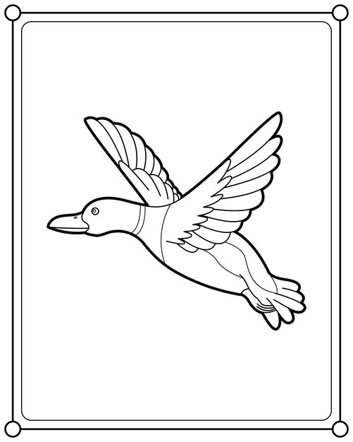 Premium vector flying mallard duck suitable for childrens coloring page vector illustration
