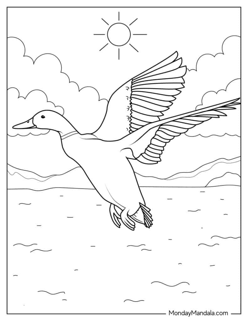 Cute duck coloring pages free pdf printables