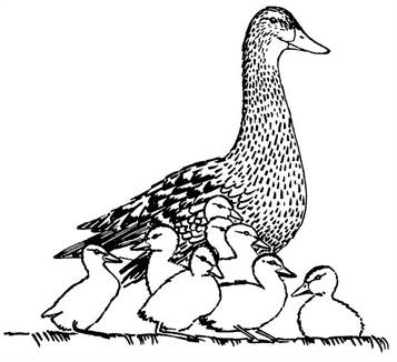 Kids