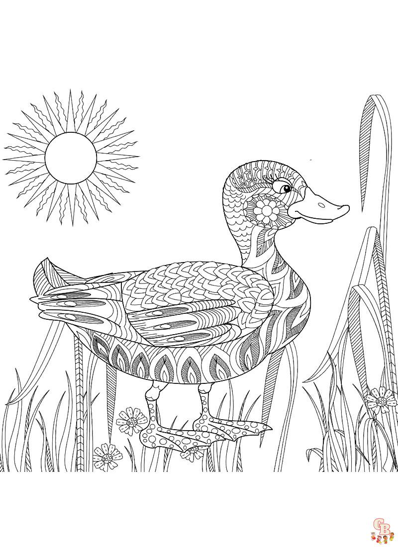 Delightful duck coloring pages for kids