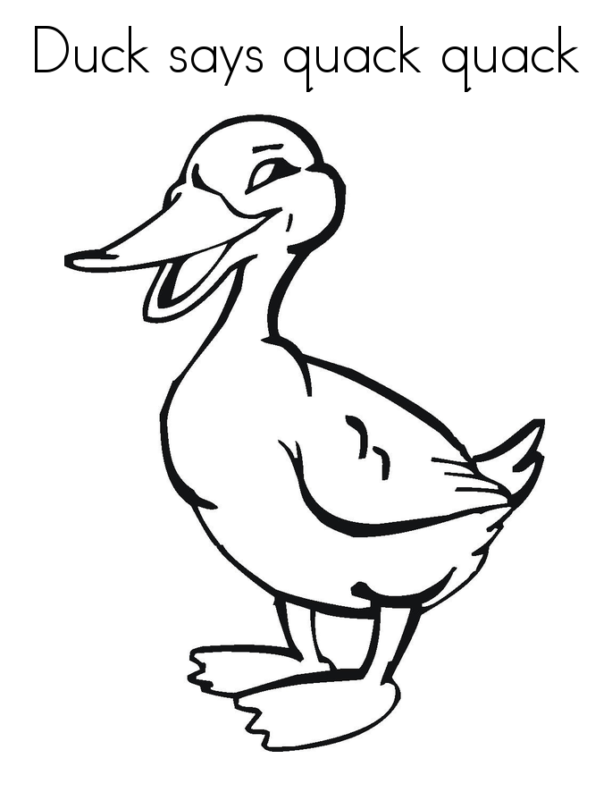 Duck coloring pages