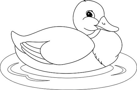 Mallard coloring page stock vector royalty