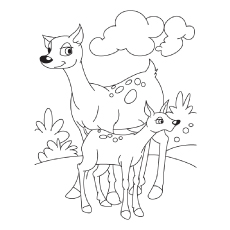 Top deer coloring pages for your little ones
