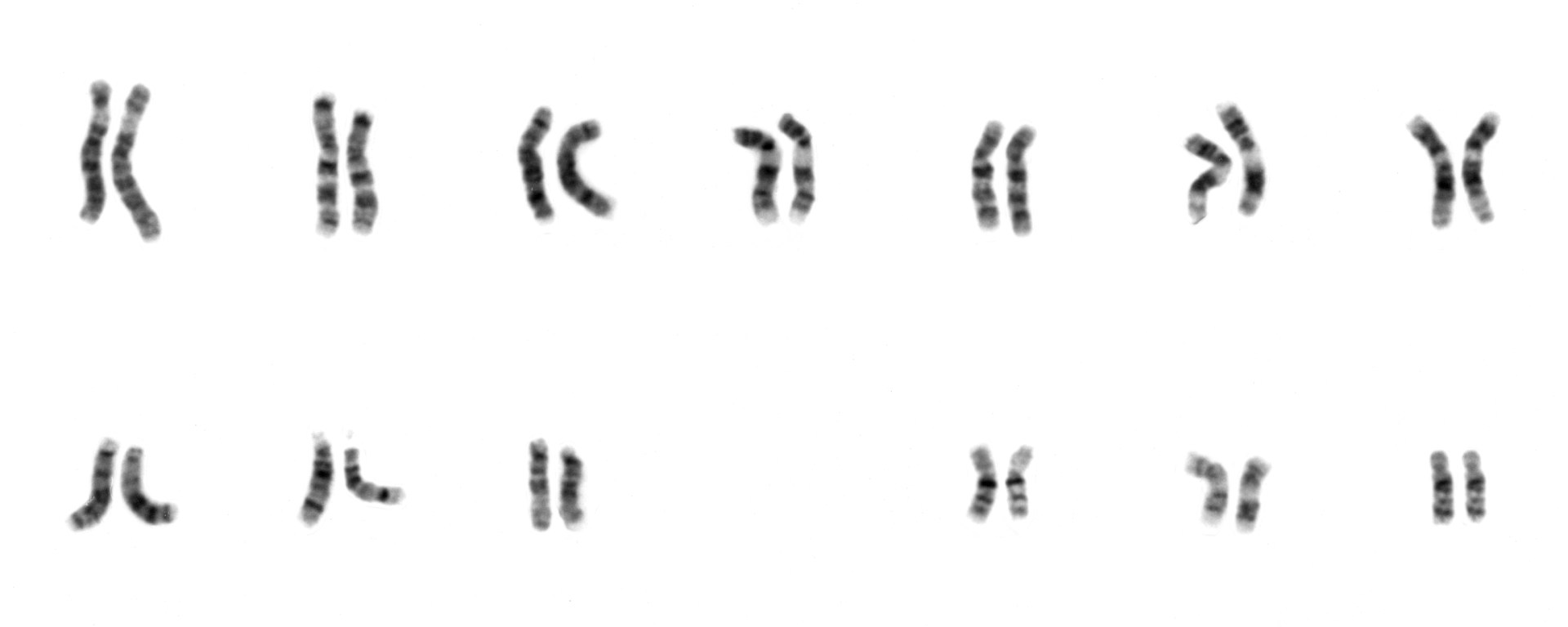 I didnt get it from my mama children with dna almost exclusively from their dads