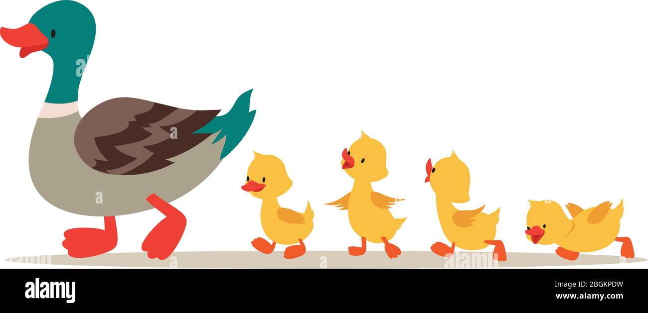 Patitos con pato madre imãgen vectorial de stock