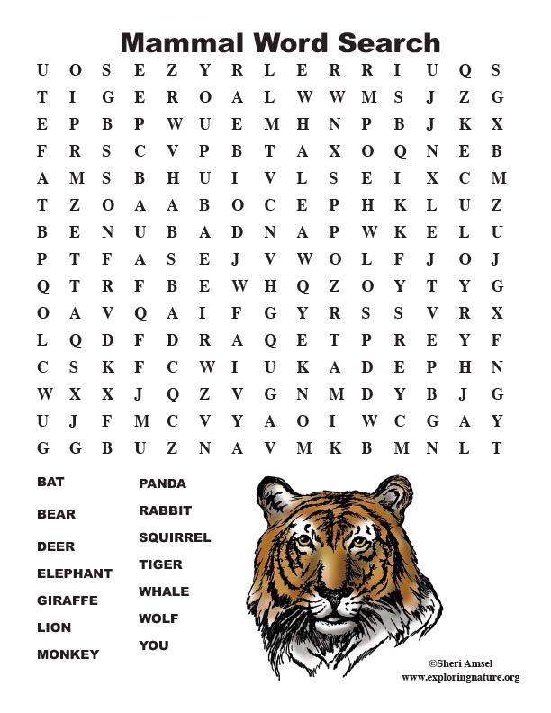 Mammal word search middle