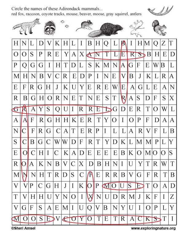 Word search