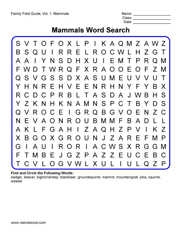 Mammal word search