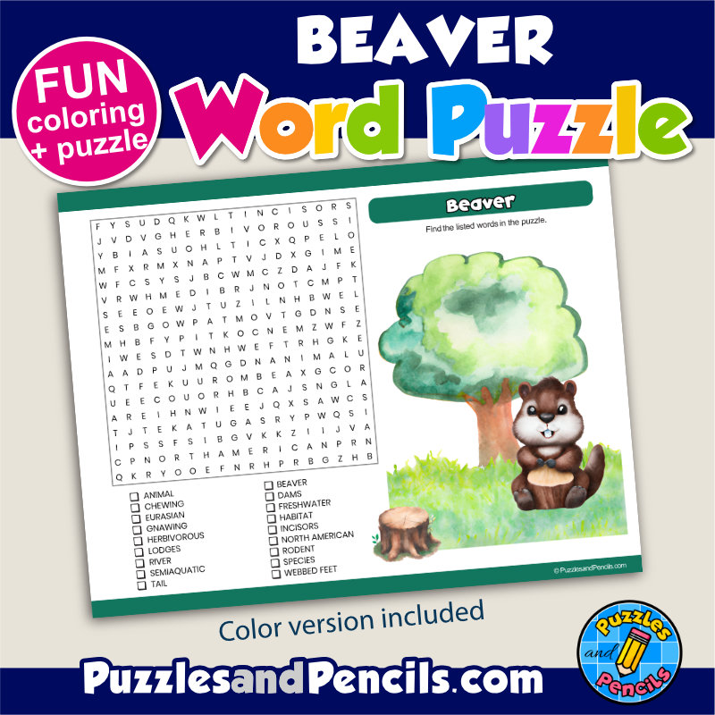Beaver word search puzzle activity page and coloring wildlife wordsearch made by teachers