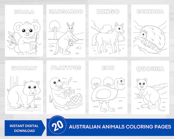 Native australian animals coloring pages australian animals printables australian mammals marsupials coloring coloring printables instant download