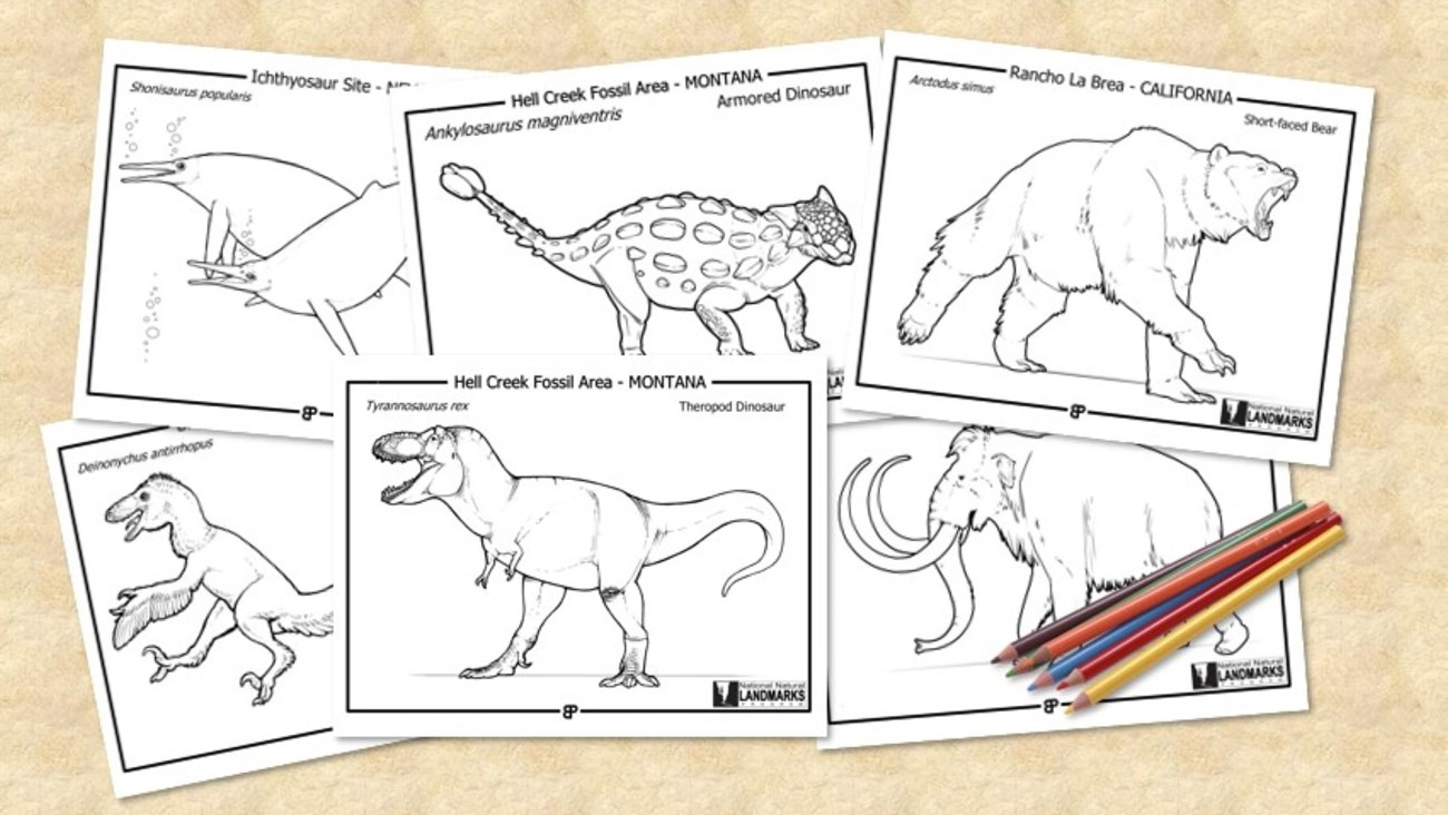 Nnl prehistoric life coloring pages