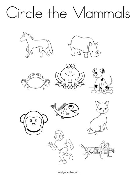 Circle the mammals coloring page