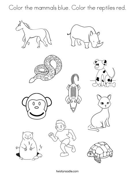 Color the mammals blue color the reptiles red coloring page mammals reptiles coloring pages