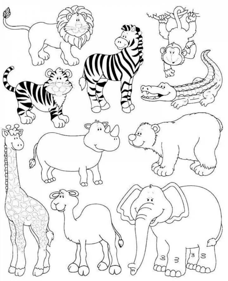 Cheerful and friendly mammals of africa coloring page