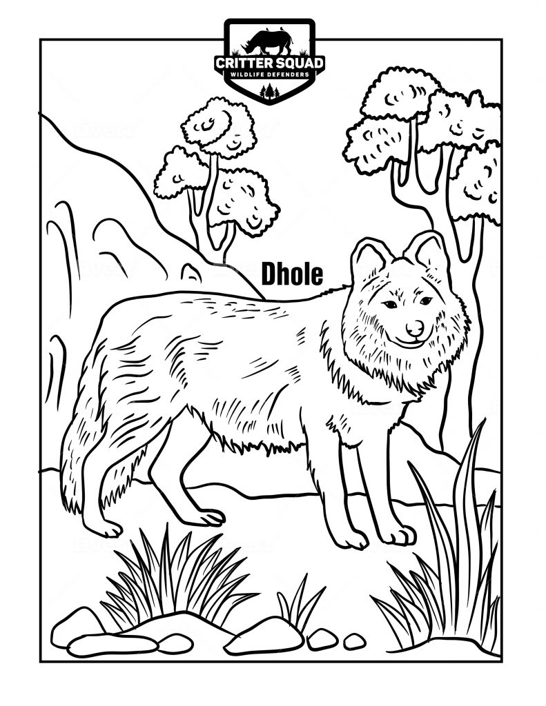 Mammal coloring pages
