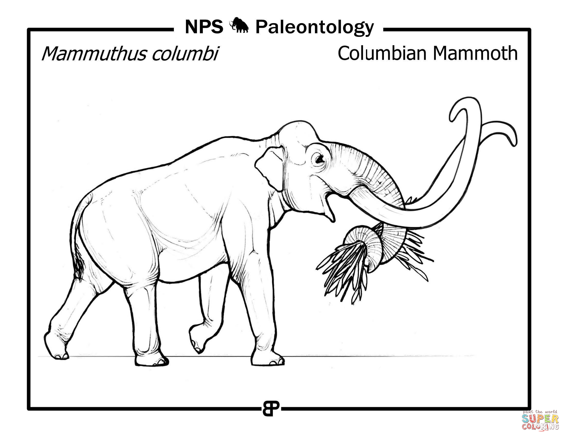 Columbian mammoth mammuthus columbi coloring page free printable coloring pages