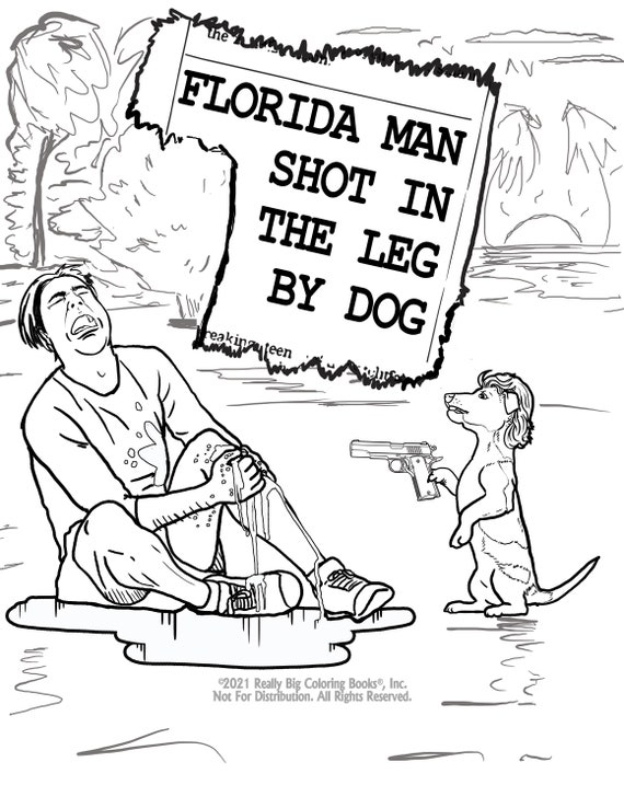 Florida man satirical coloring book