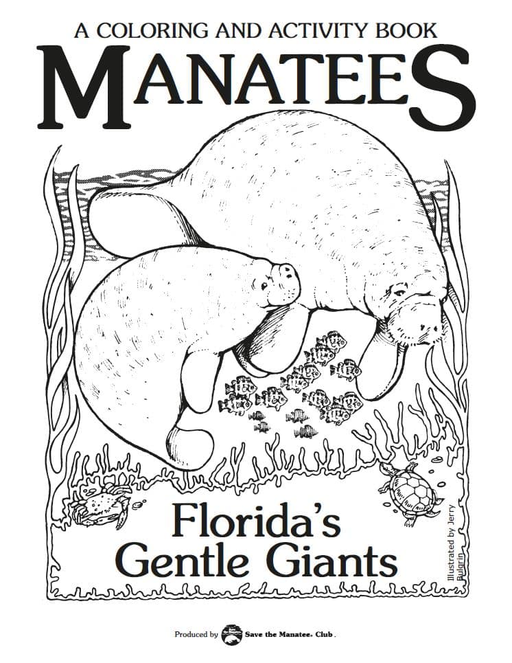 For kids save the manatee club