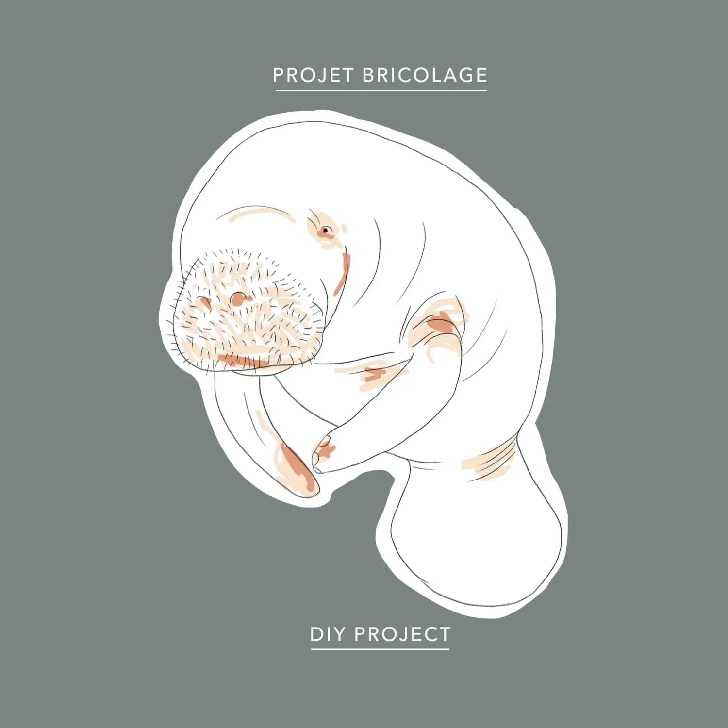 Manatee colouring sheet â baltic club