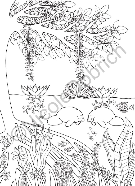 Manatee river drawing printable adult coloring page instant download adult coloring book instant print kids coloring page