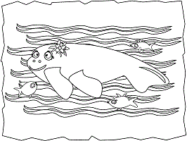 Letter m animals coloring pages and printable activities page