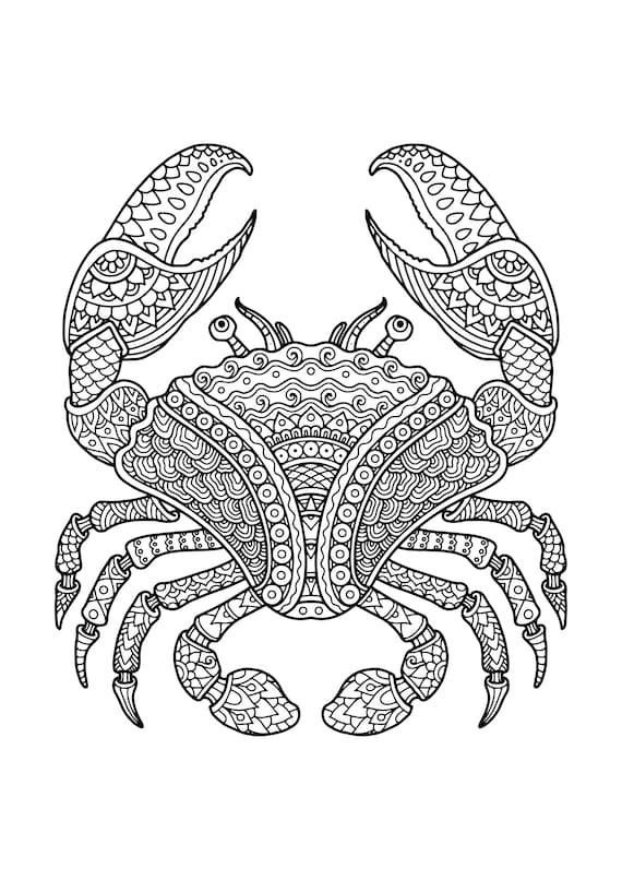 Printable animal mandala coloring pages ocean animal mandala adult coloring book